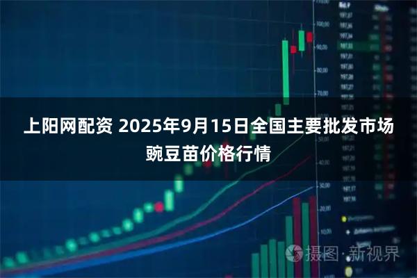 上阳网配资 2025年9月15日全国主要批发市场豌豆苗价格行情