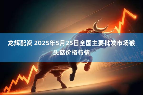 龙辉配资 2025年5月25日全国主要批发市场猴头菇价格行情