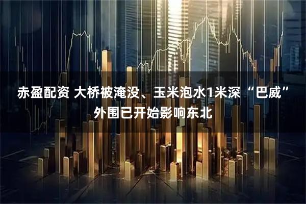 赤盈配资 大桥被淹没、玉米泡水1米深 “巴威”外围已开始影响东北